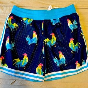 NWOT Men’s Chubbies Basketball Shorts